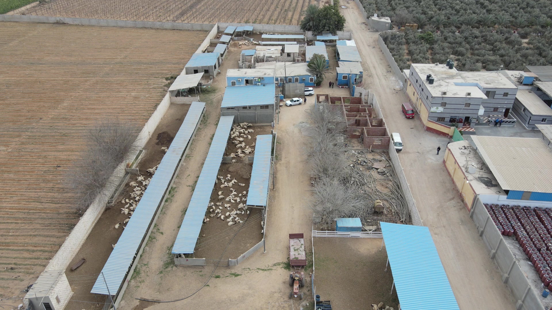 Al-Ahlam farm aerial view
