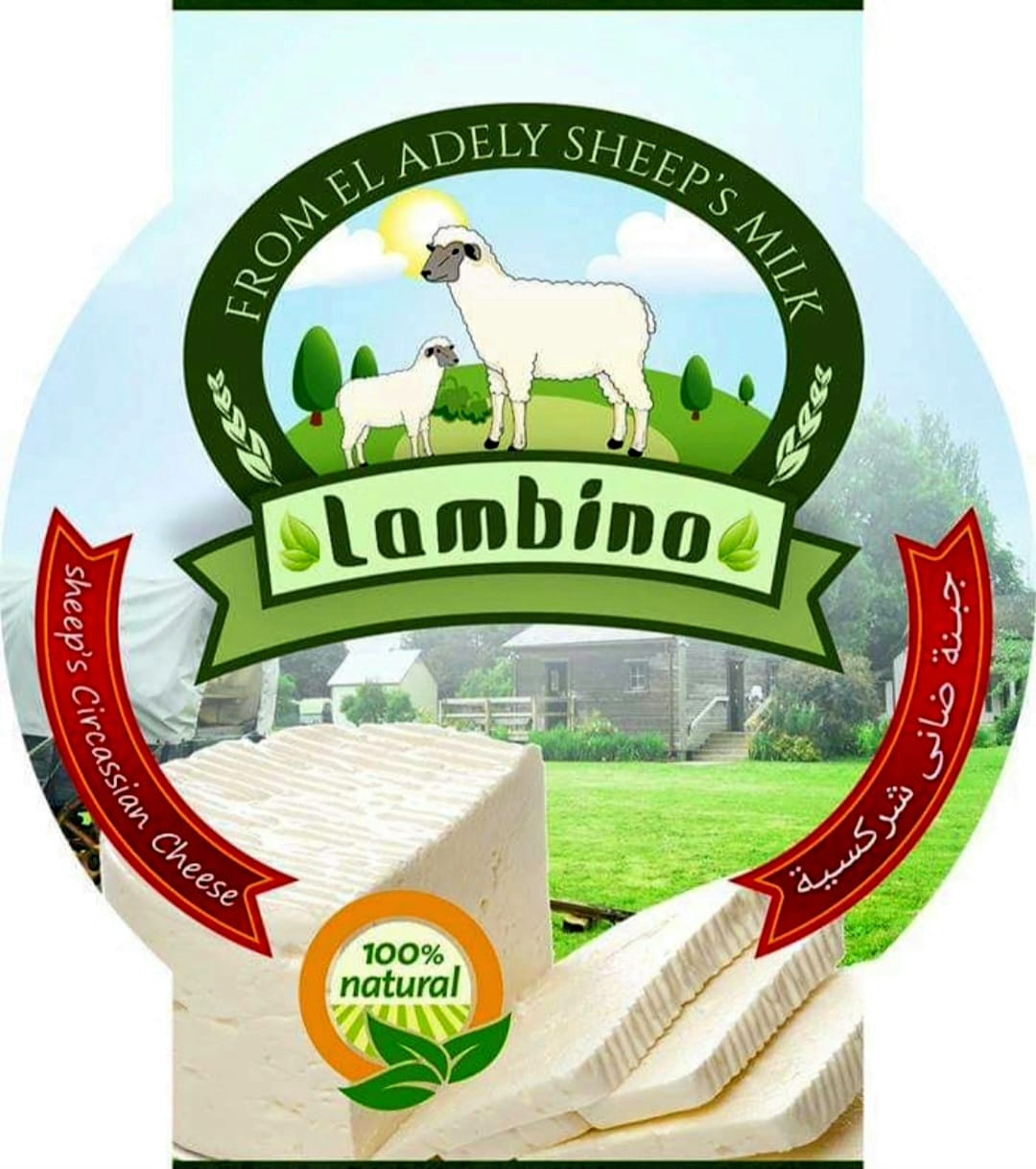 Lambino® Sheep Milk Cheese