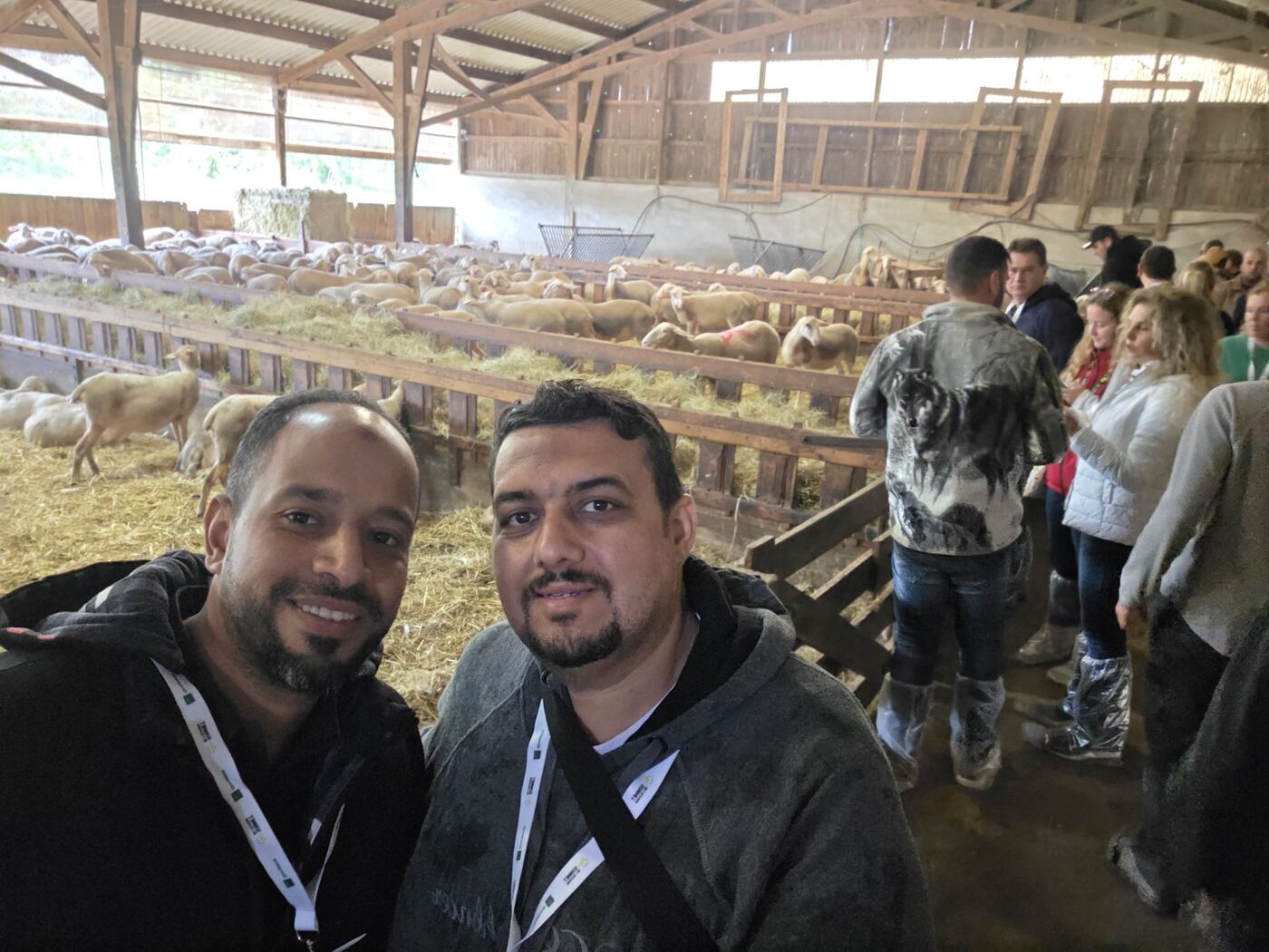 Sheep production systems in France