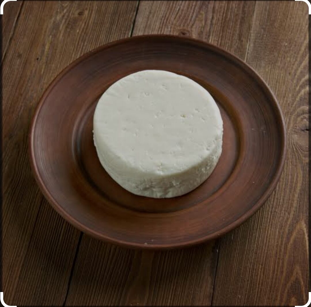 Classic fresh Lambino sheep cheese