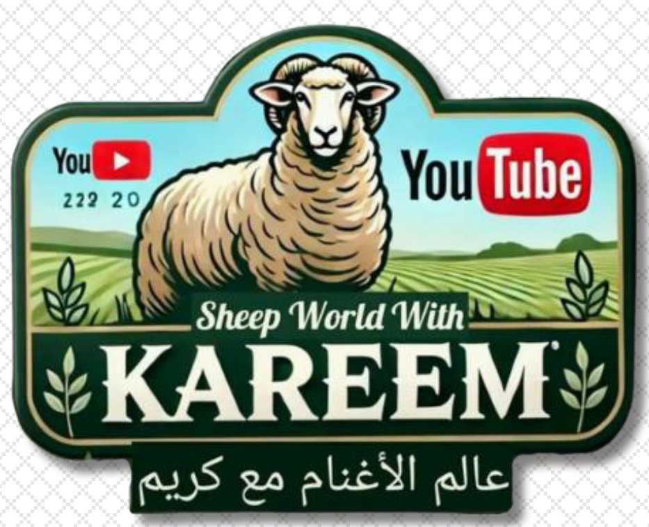 Sheep World with Kareem