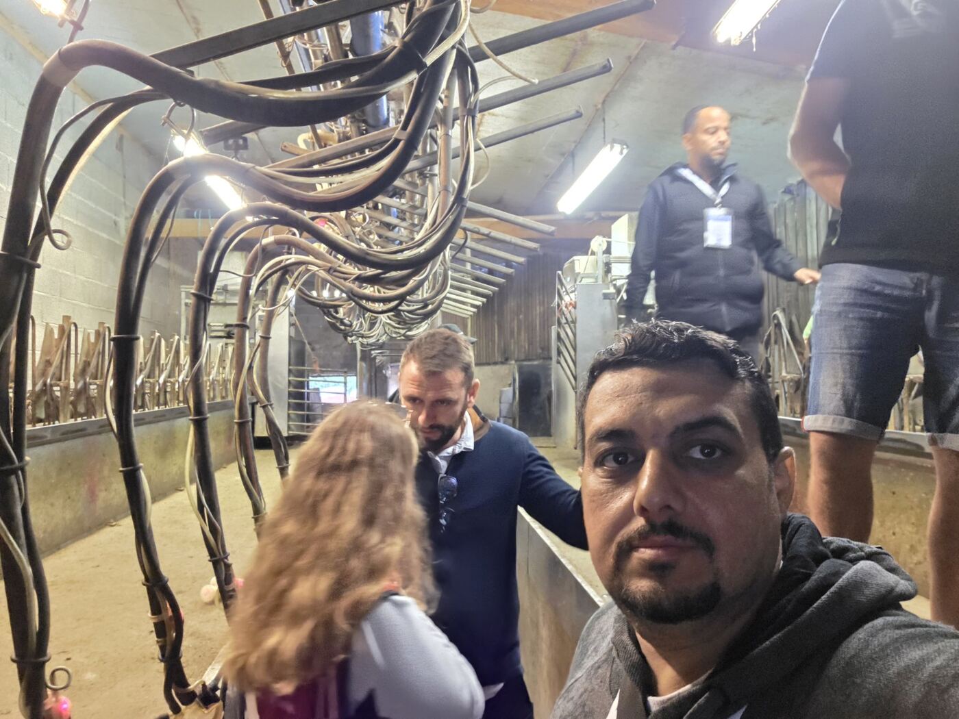 Technical inspection of sheep milking systems